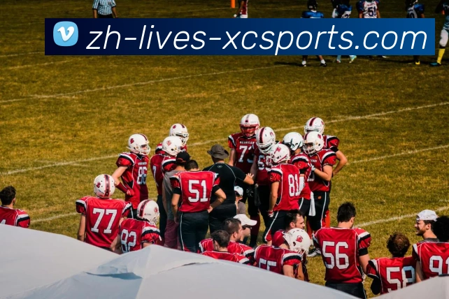 杏彩体育APP 体育赛事宣传图